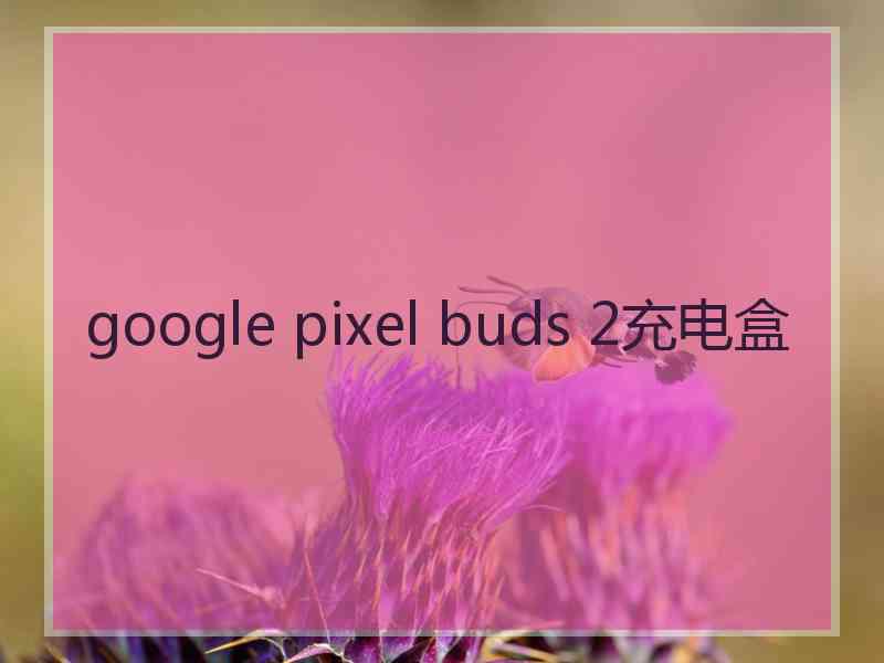 google pixel buds 2充电盒