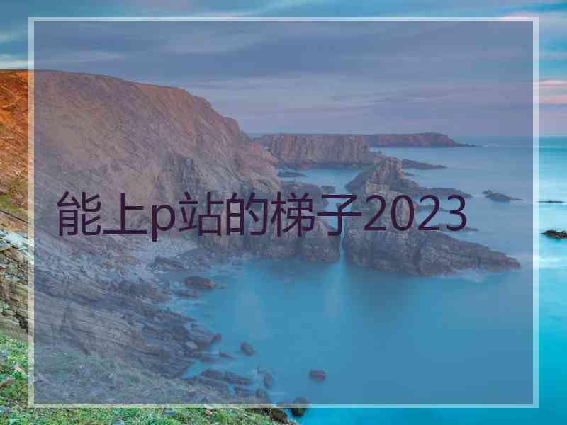 能上p站的梯子2023