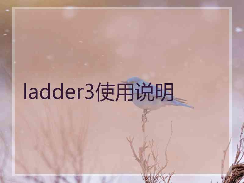 ladder3使用说明