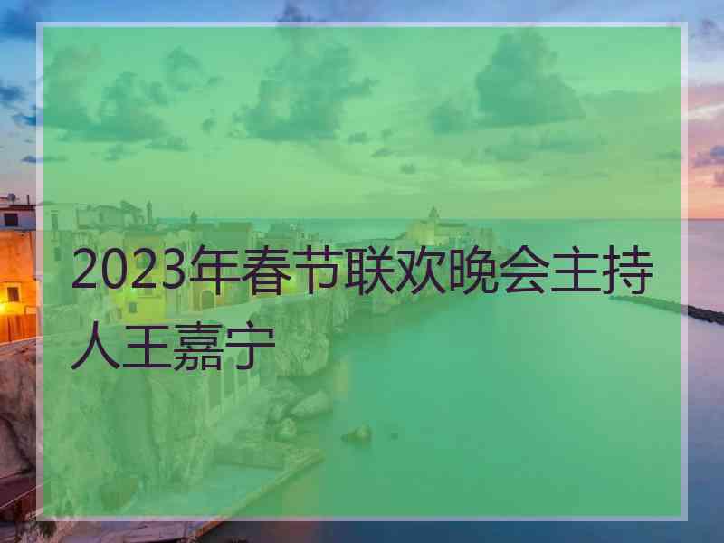 2023年春节联欢晚会主持人王嘉宁