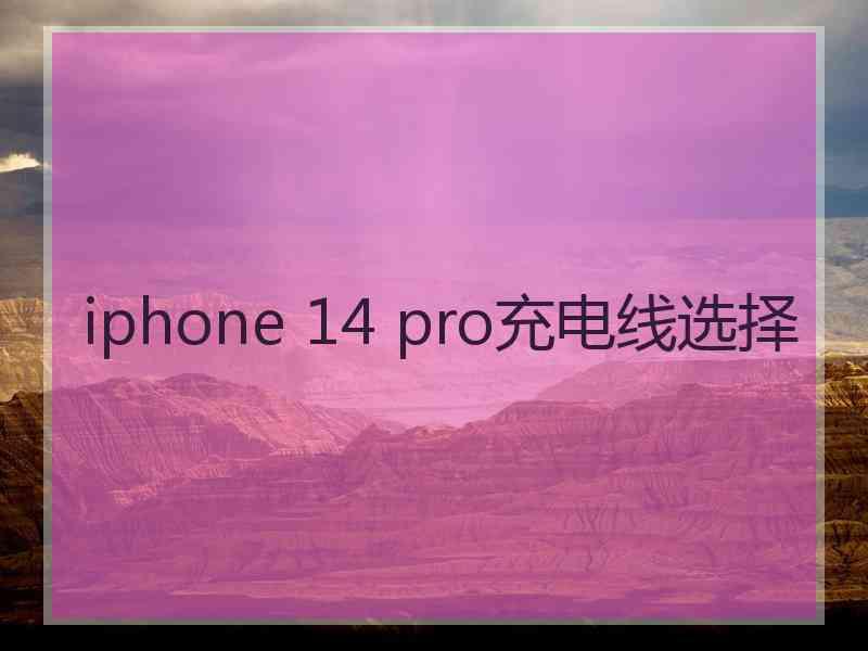 iphone 14 pro充电线选择