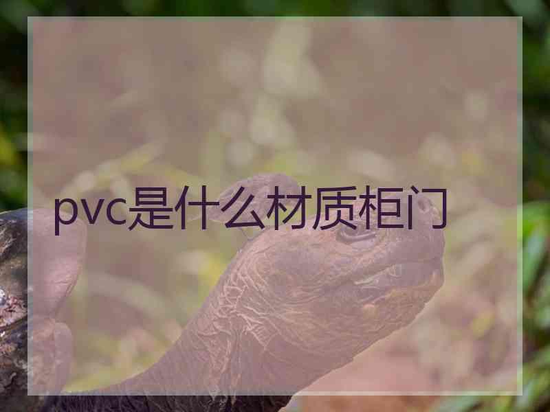 pvc是什么材质柜门