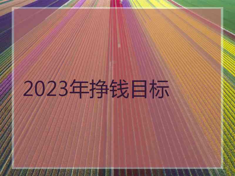 2023年挣钱目标