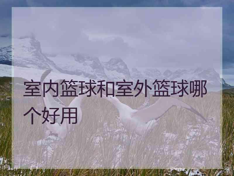 室内篮球和室外篮球哪个好用