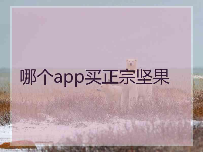 哪个app买正宗坚果