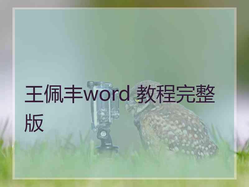 王佩丰word 教程完整版