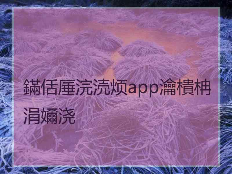 鏋佸厜浣涜烦app瀹樻柟涓嬭浇