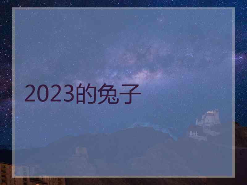 2023的兔子