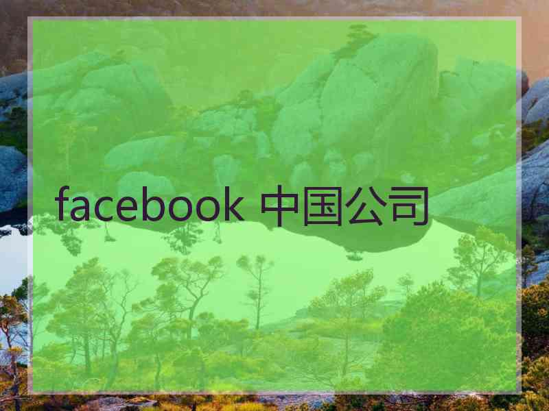 facebook 中国公司