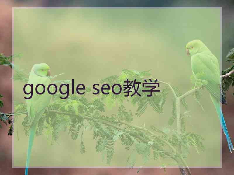 google seo教学