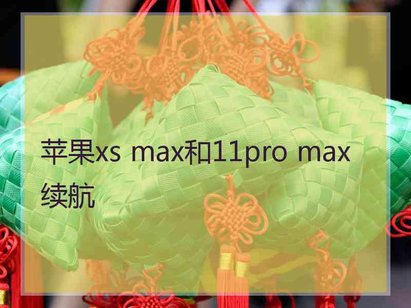 苹果xs max和11pro max续航