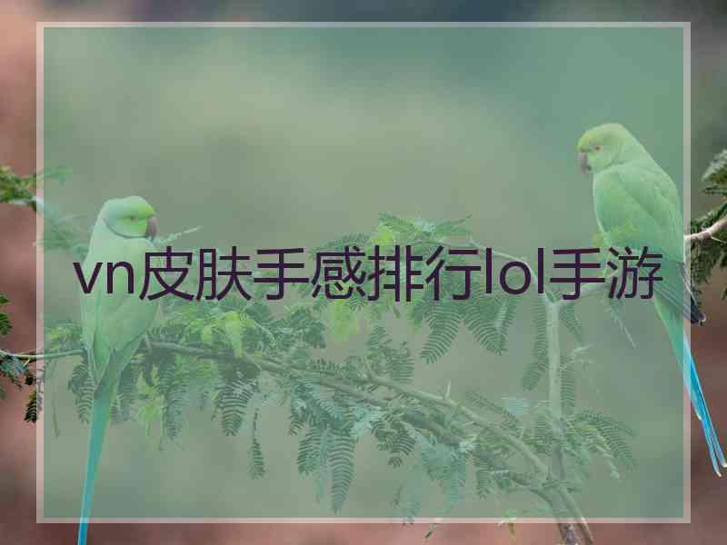 vn皮肤手感排行lol手游