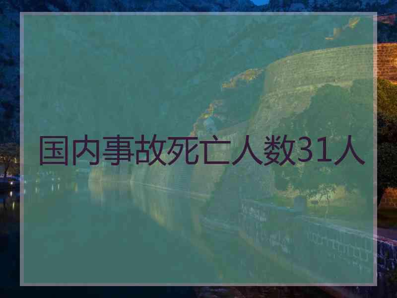 国内事故死亡人数31人