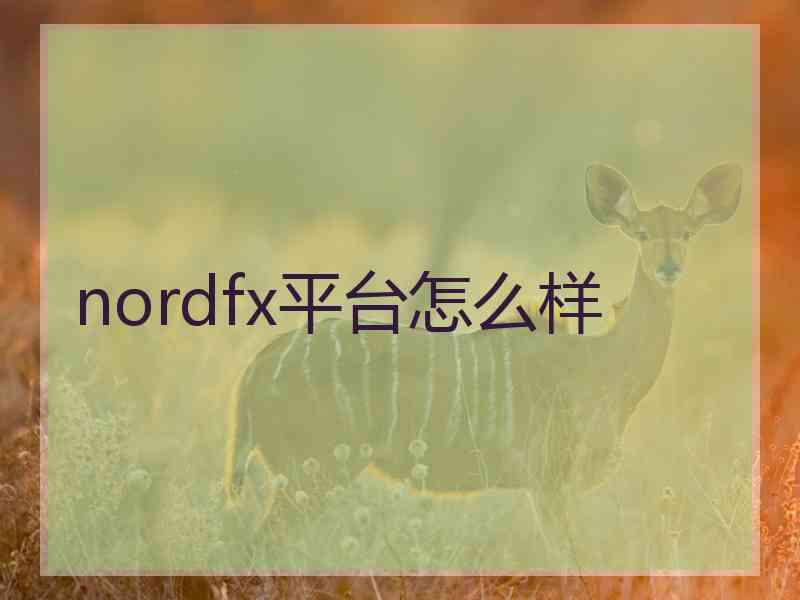 nordfx平台怎么样