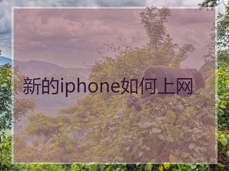 新的iphone如何上网