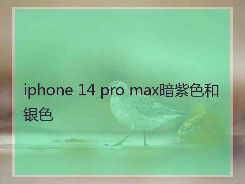 iphone 14 pro max暗紫色和银色