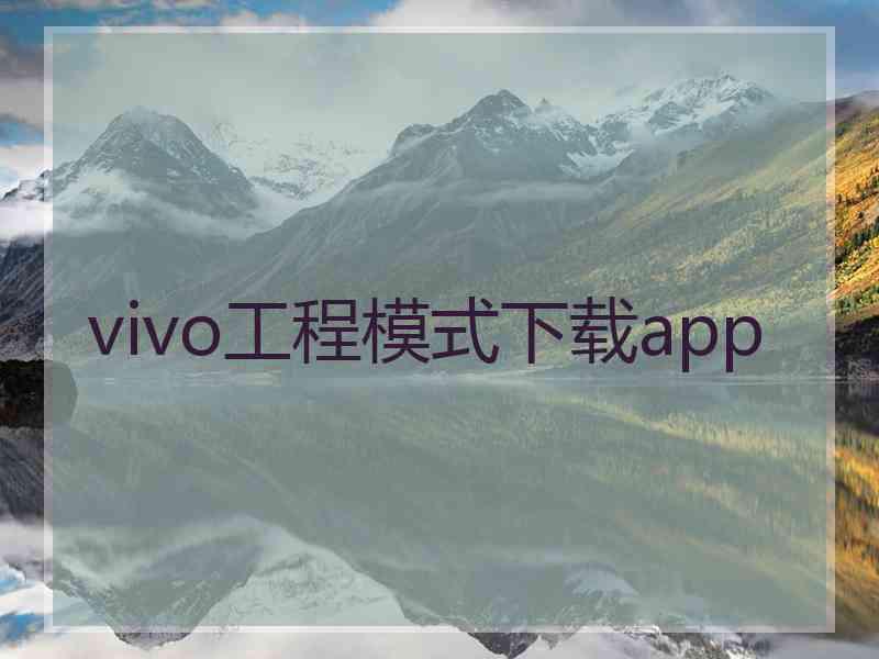 vivo工程模式下载app