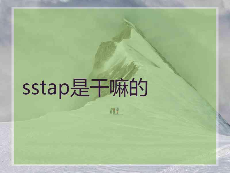 sstap是干嘛的