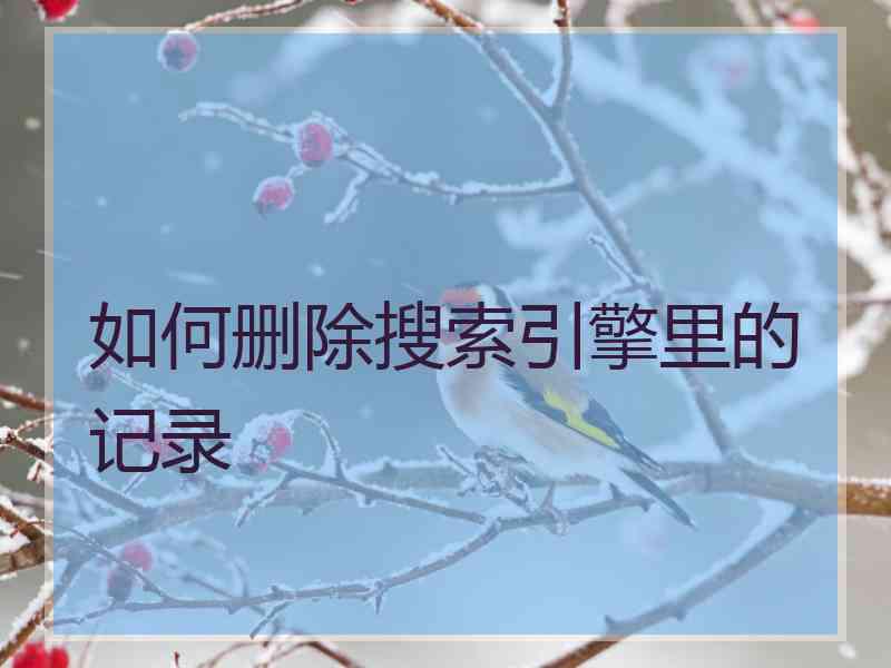 如何删除搜索引擎里的记录