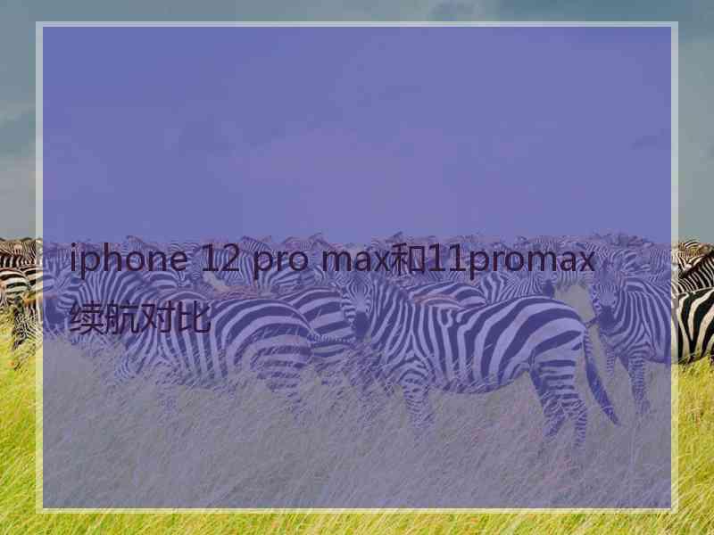 iphone 12 pro max和11promax续航对比