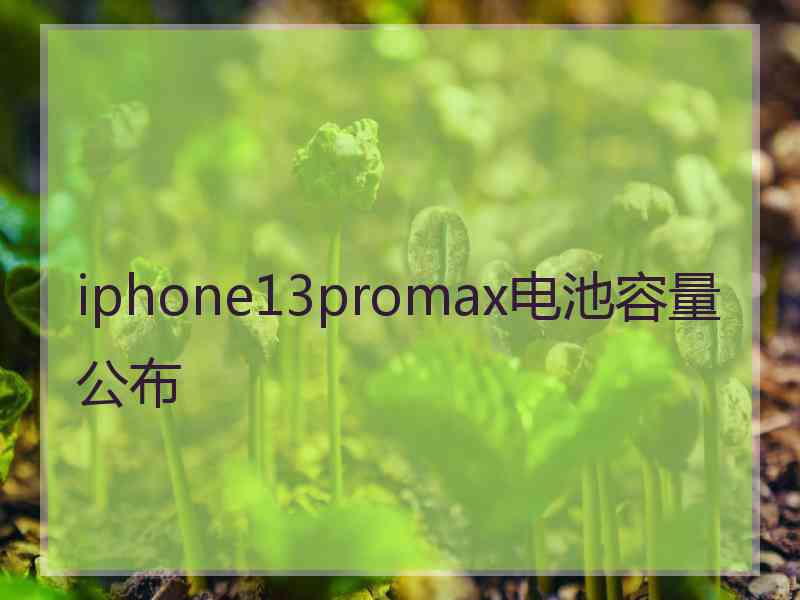 iphone13promax电池容量公布