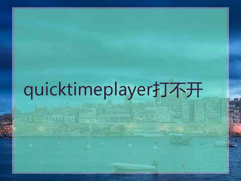 quicktimeplayer打不开