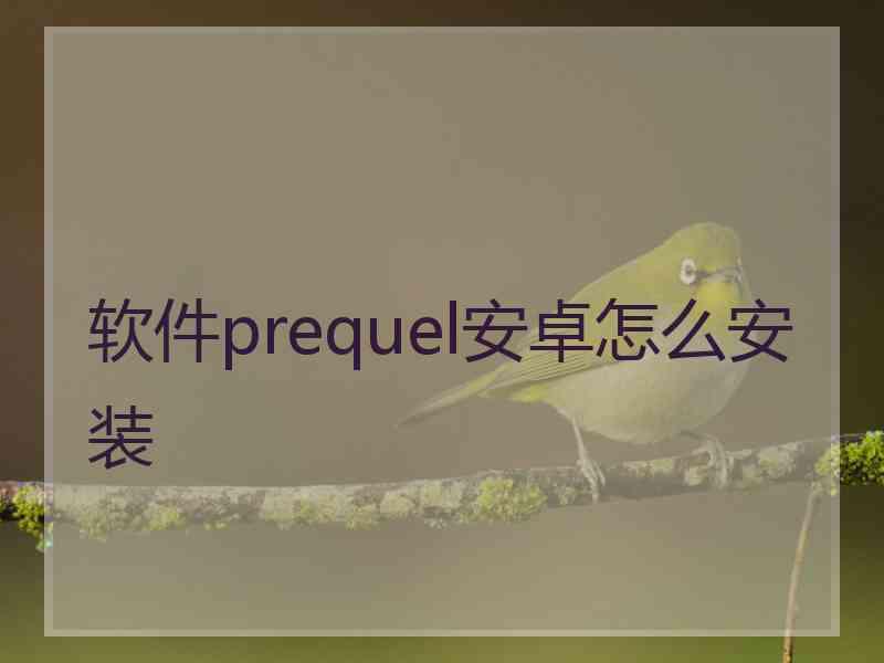 软件prequel安卓怎么安装