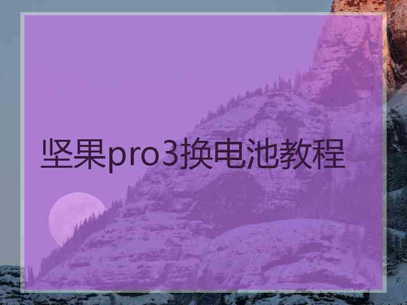 坚果pro3换电池教程