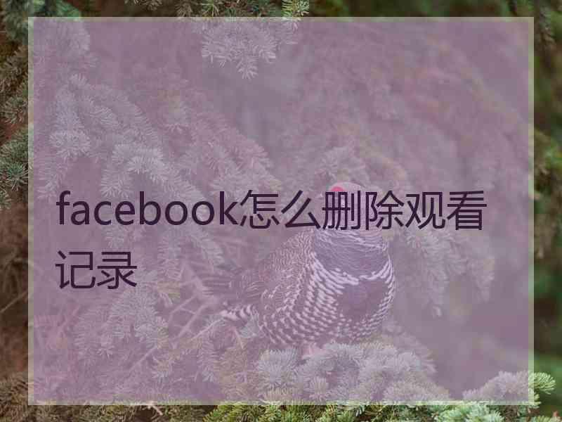 facebook怎么删除观看记录