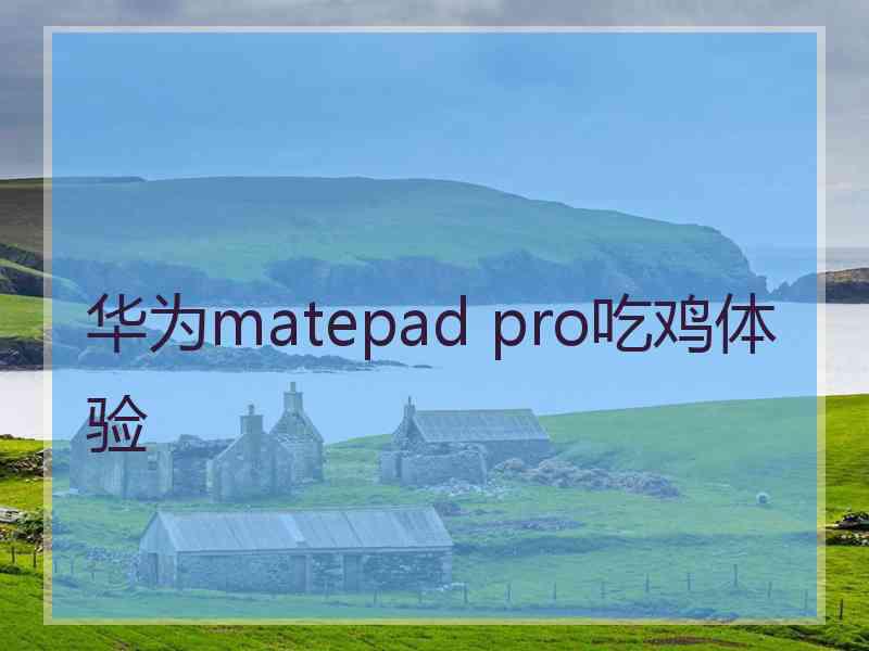 华为matepad pro吃鸡体验