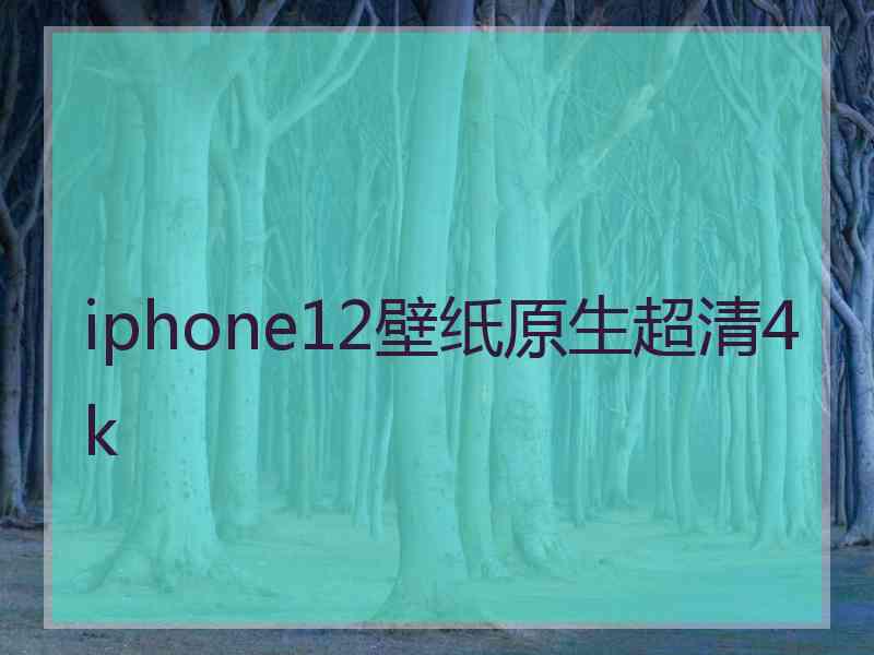 iphone12壁纸原生超清4k