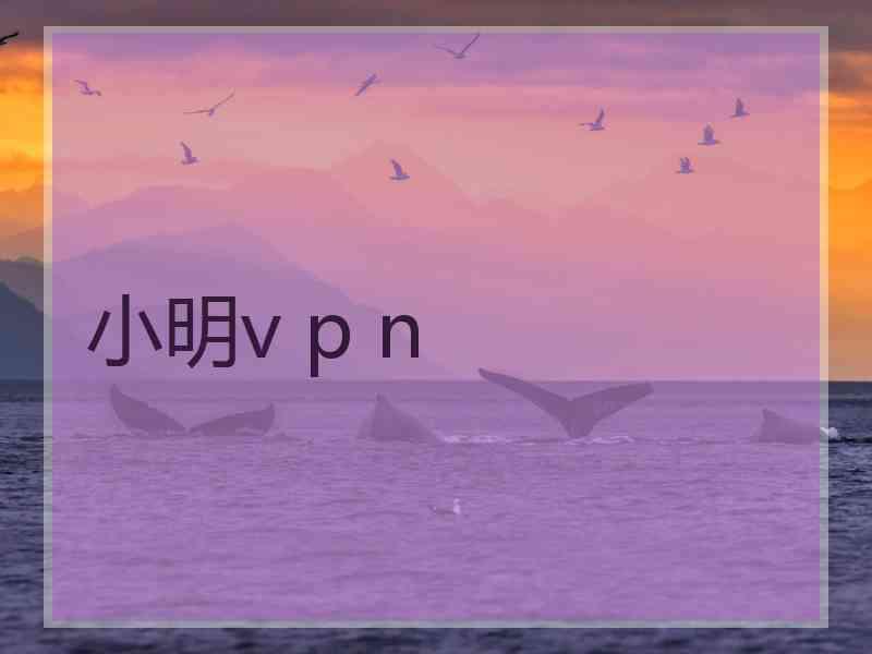 小明v p n