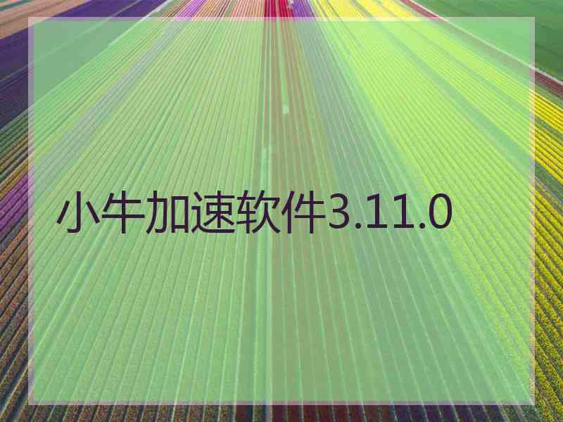 小牛加速软件3.11.0