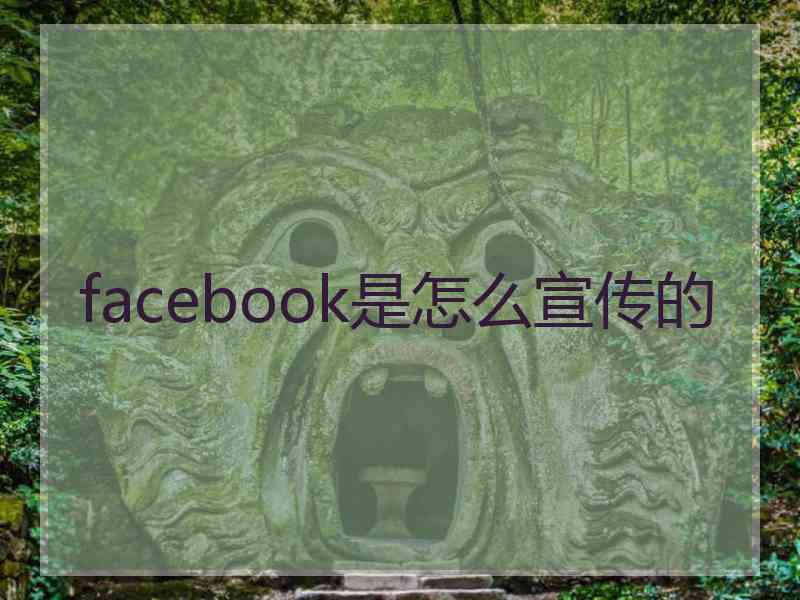 facebook是怎么宣传的