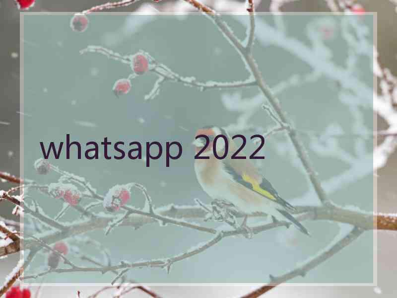 whatsapp 2022