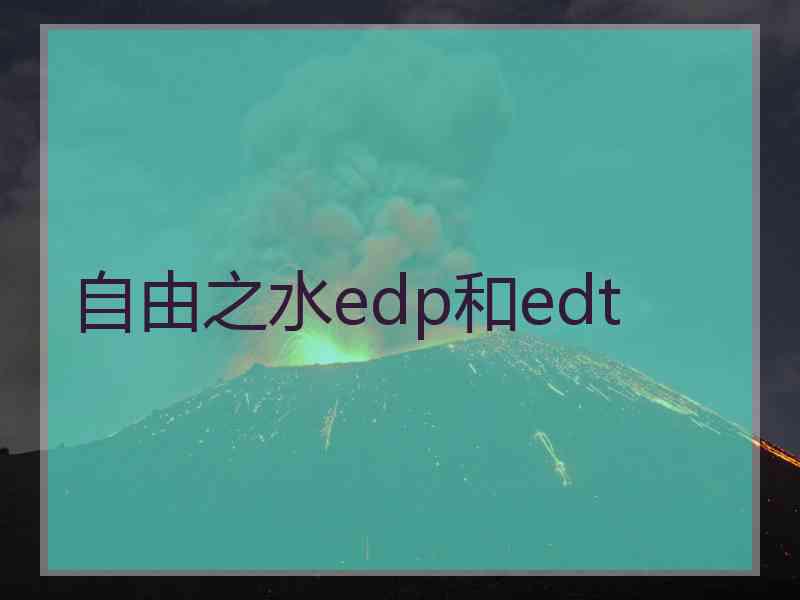 自由之水edp和edt