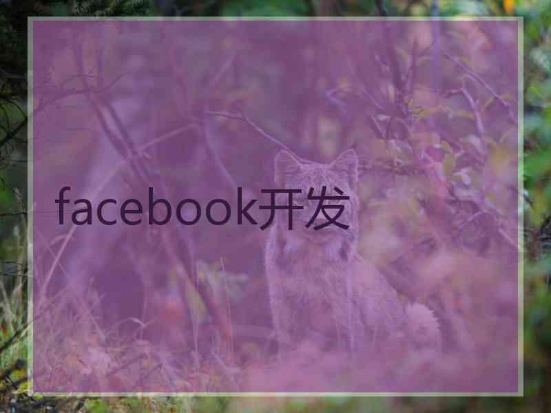 facebook开发