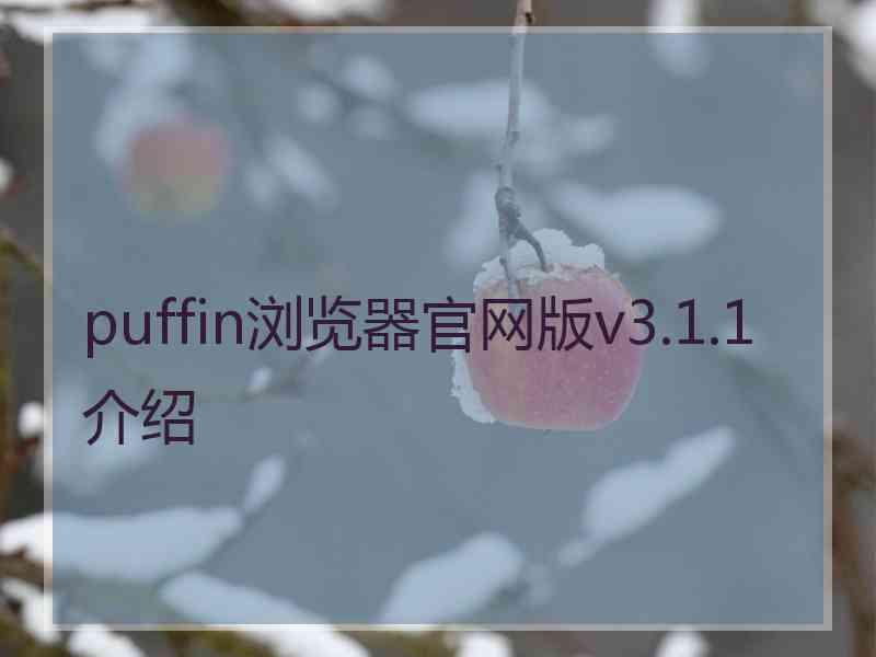 puffin浏览器官网版v3.1.1介绍