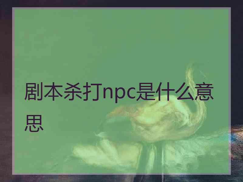 剧本杀打npc是什么意思