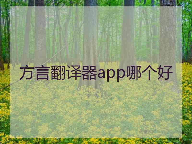 方言翻译器app哪个好