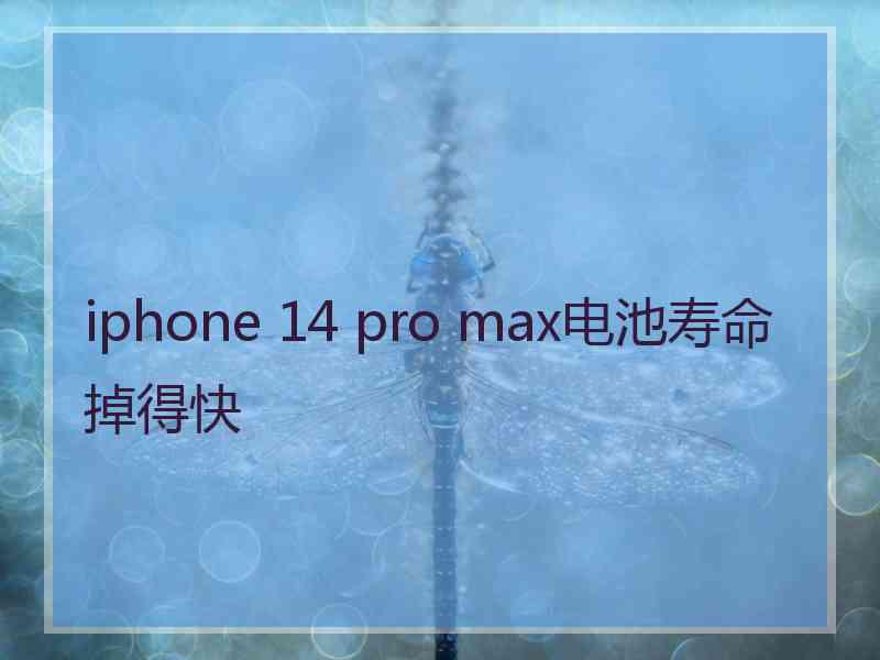 iphone 14 pro max电池寿命掉得快