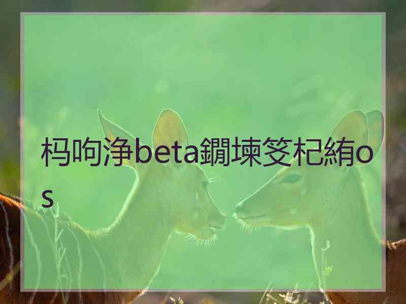 杩呴浄beta鐗堜笅杞絠os