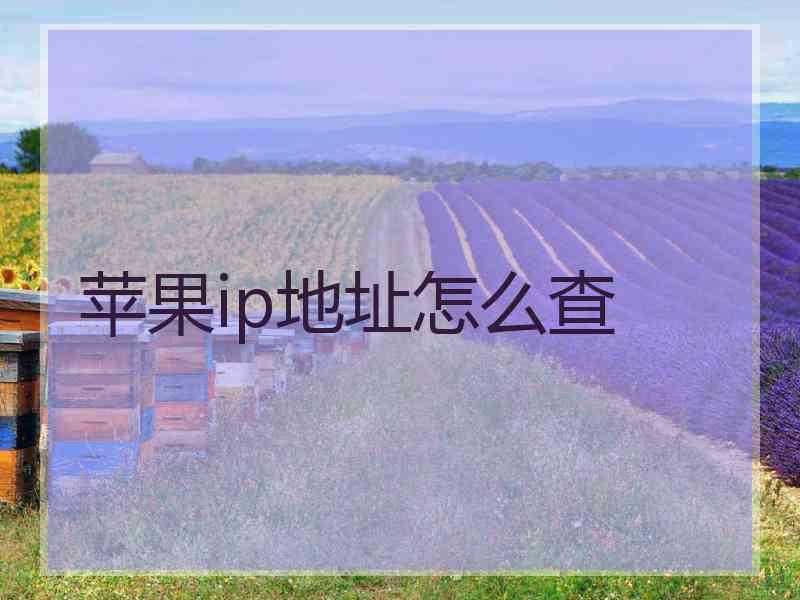 苹果ip地址怎么查