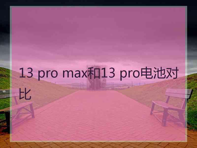 13 pro max和13 pro电池对比