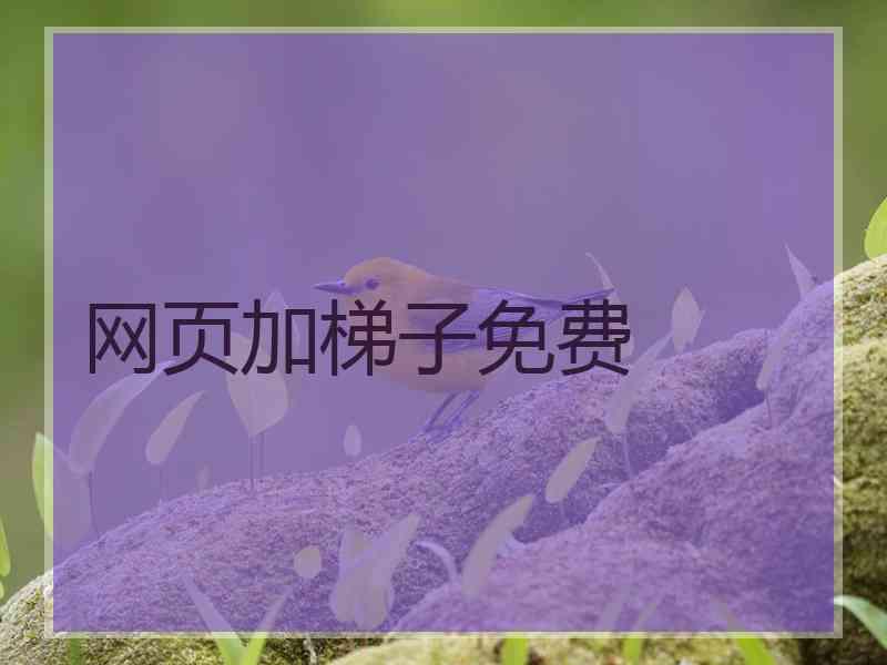 网页加梯子免费