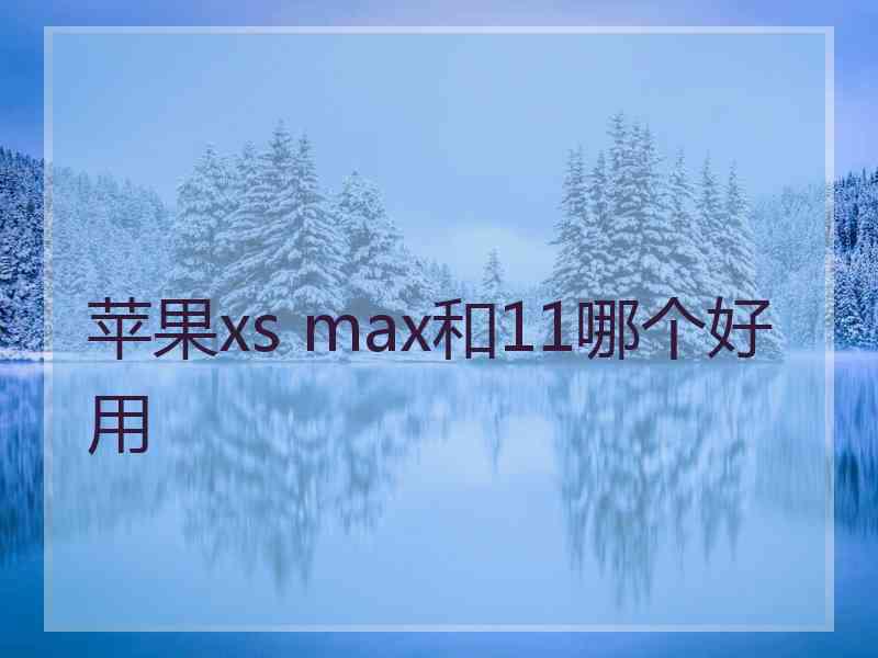 苹果xs max和11哪个好用