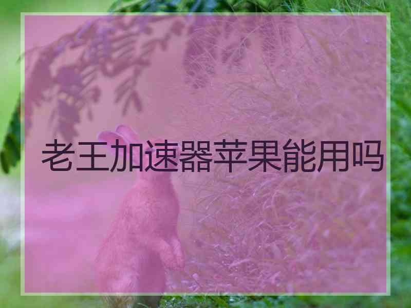 老王加速器苹果能用吗