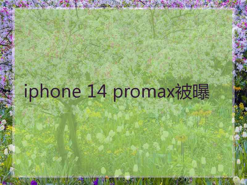 iphone 14 promax被曝