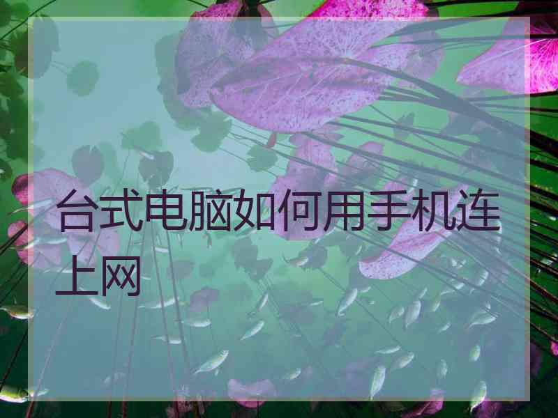 台式电脑如何用手机连上网