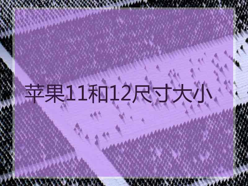 苹果11和12尺寸大小